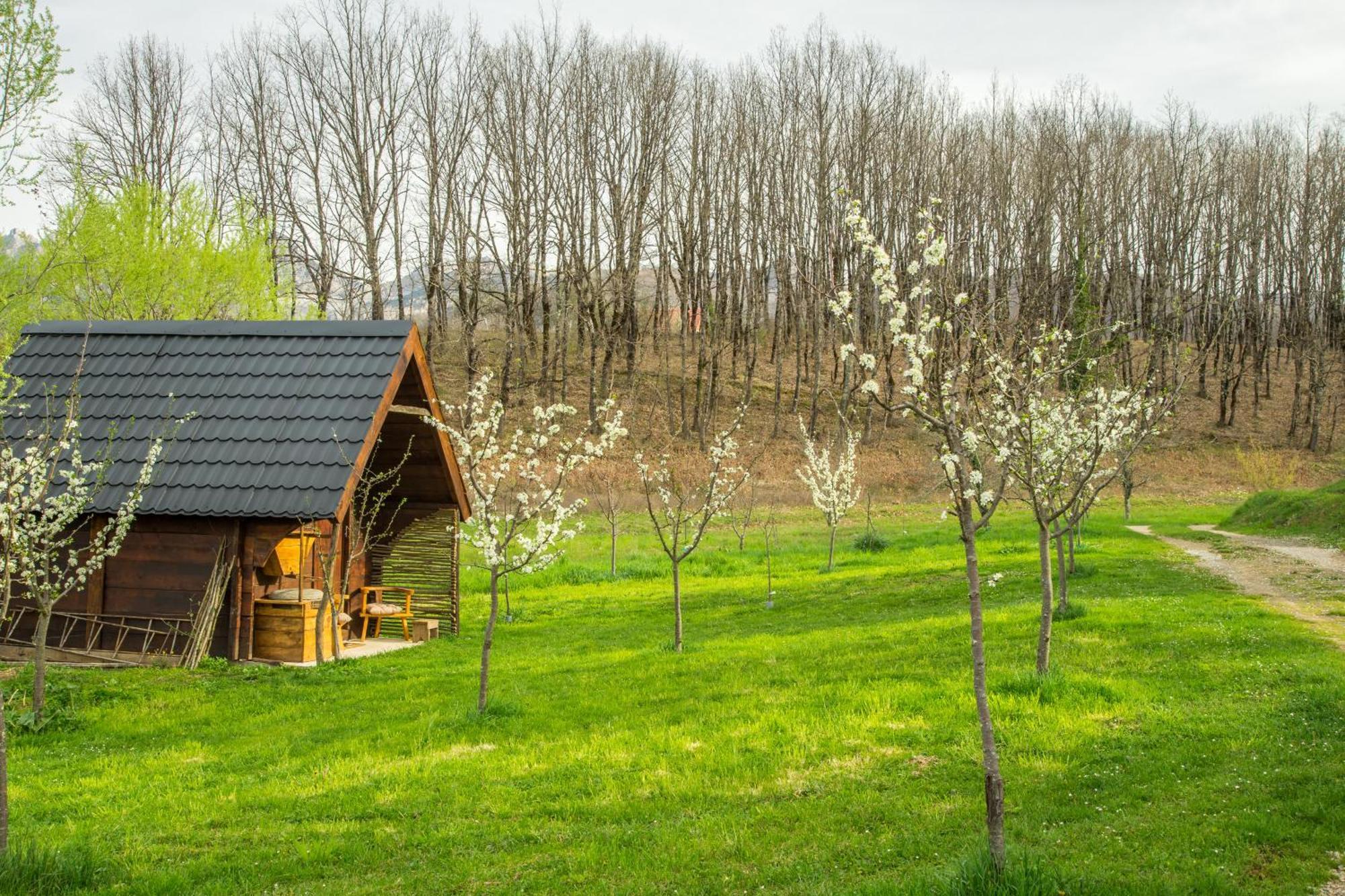 Djurdjevina Family Farm Villa Kolasin Luaran gambar