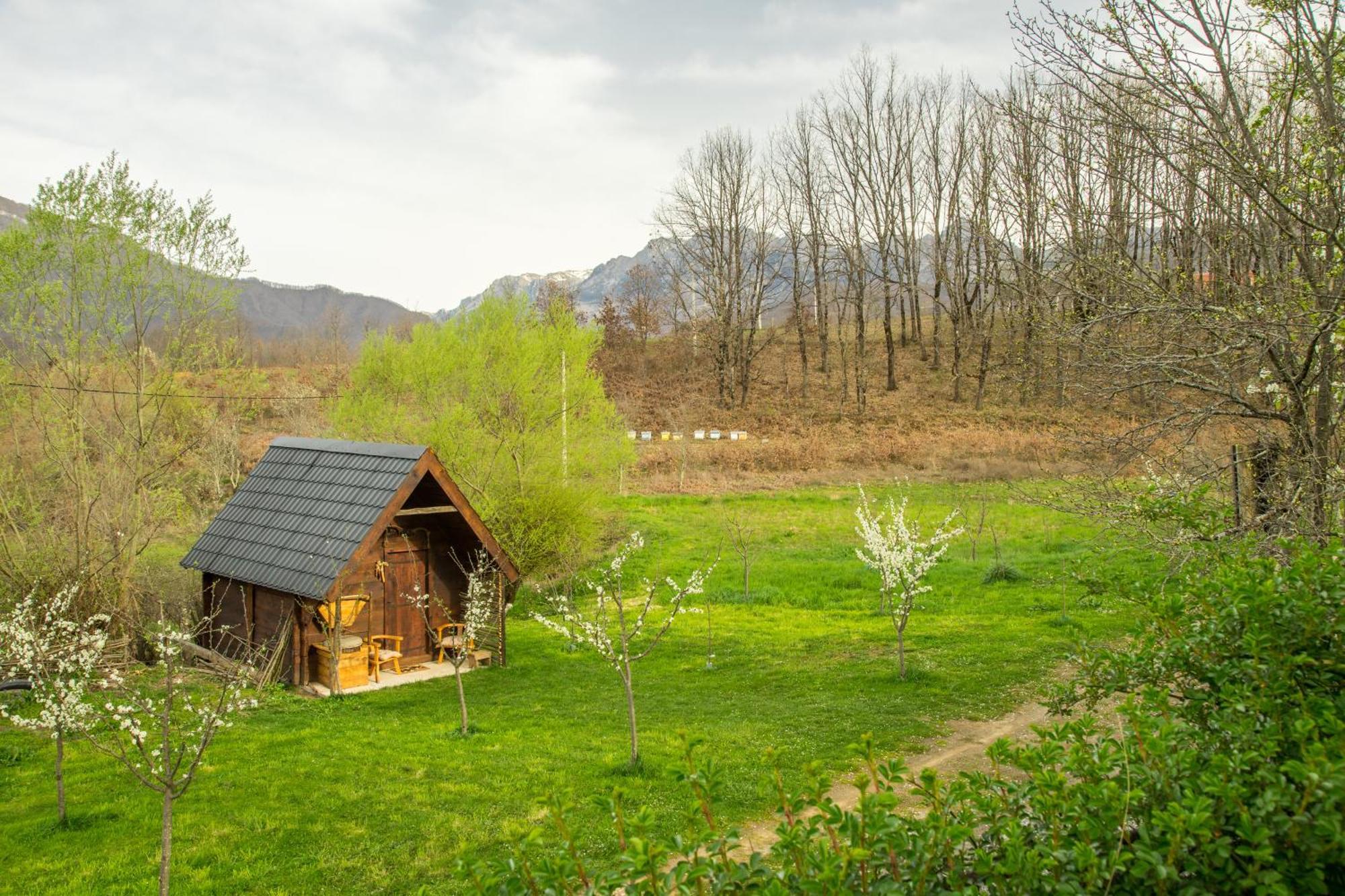 Djurdjevina Family Farm Villa Kolasin Bilik gambar