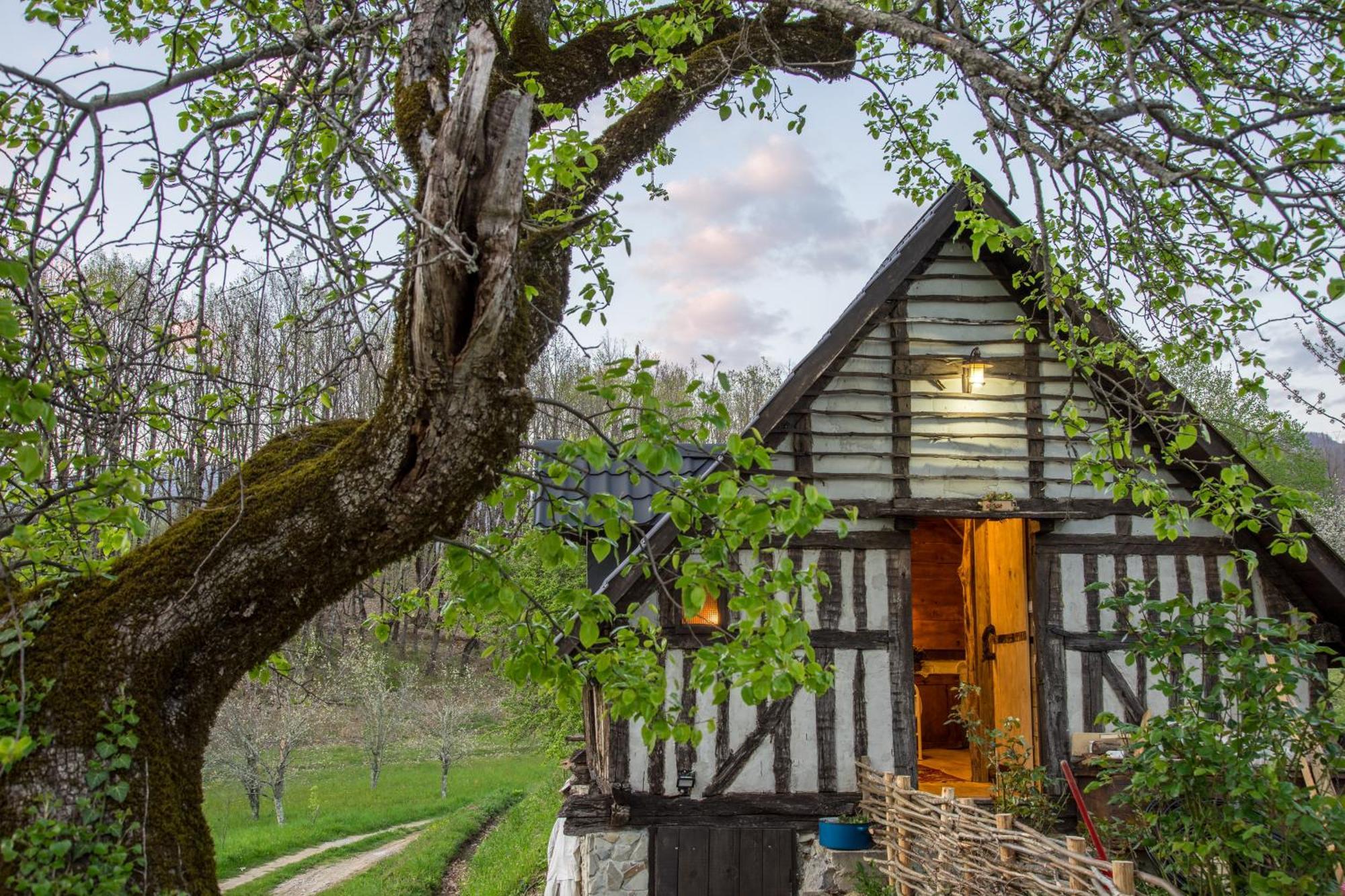 Djurdjevina Family Farm Villa Kolasin Bilik gambar